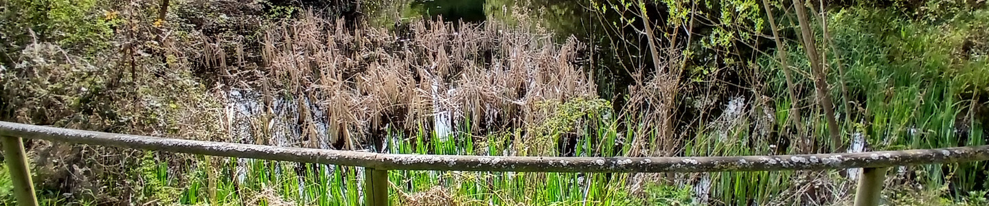 WTandW – Westerfield with Tuddenham and Witnesham