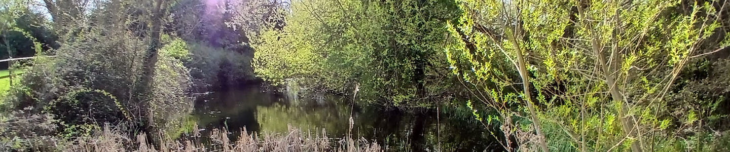 WTandW – Westerfield with Tuddenham and Witnesham
