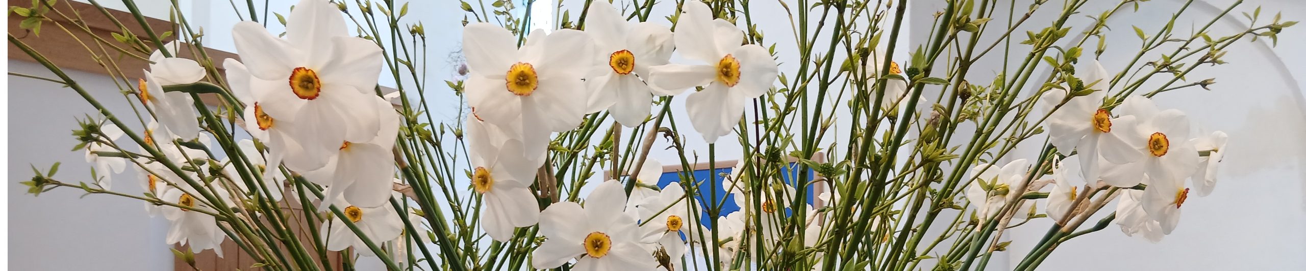 WTandW – Westerfield with Tuddenham and Witnesham