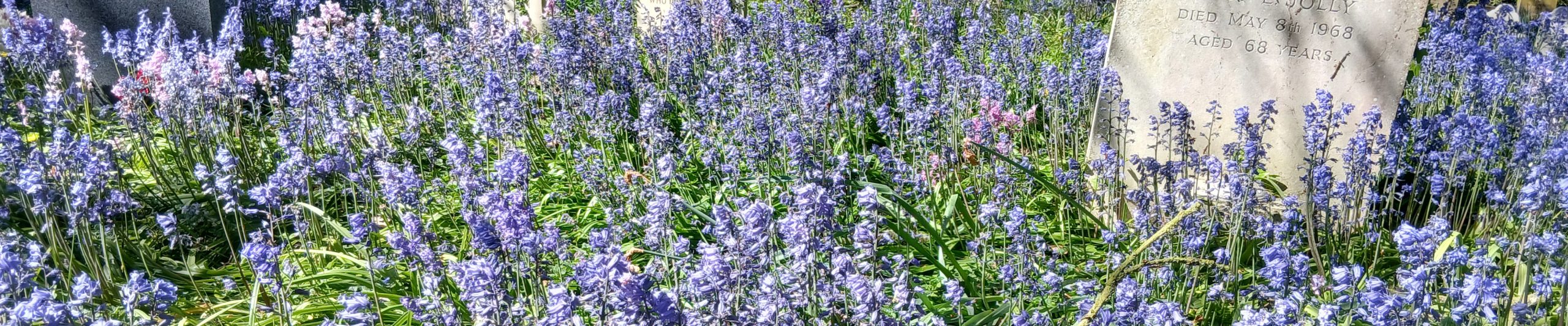 WTandW – Westerfield with Tuddenham and Witnesham