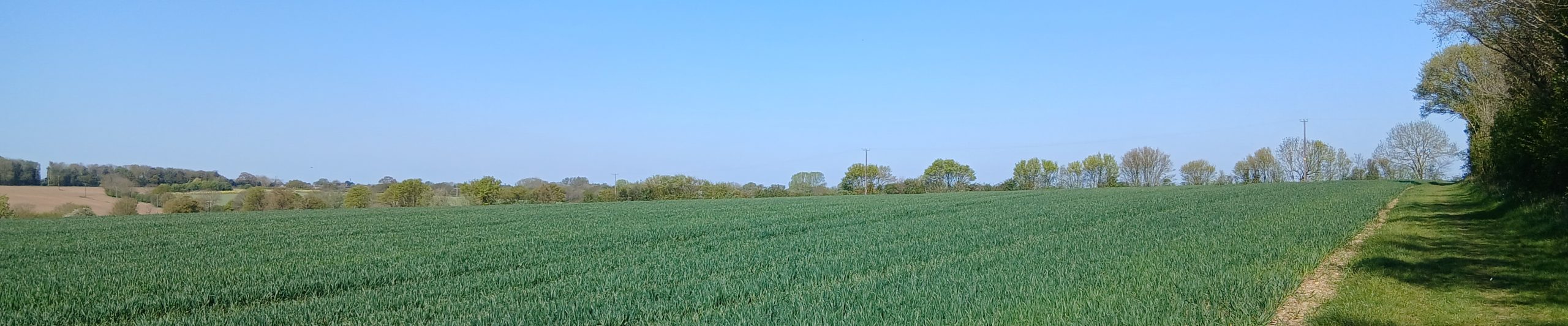 WTandW – Westerfield with Tuddenham and Witnesham