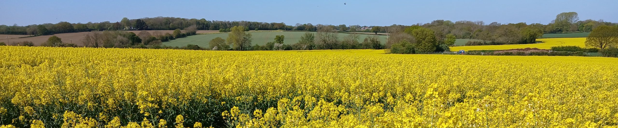 WTandW – Westerfield with Tuddenham and Witnesham