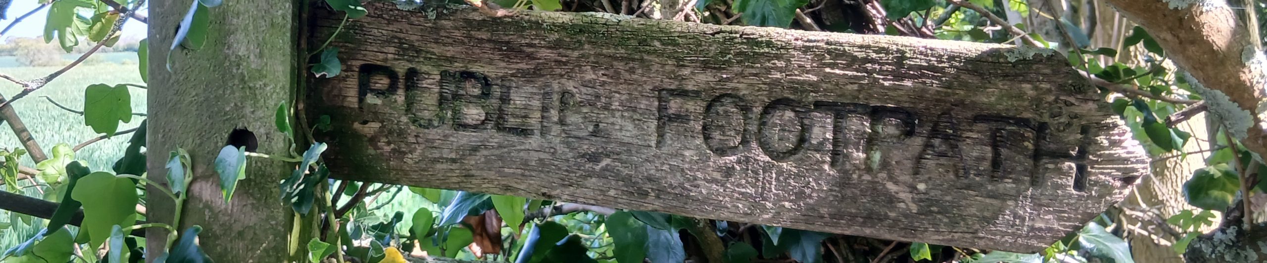WTandW – Westerfield with Tuddenham and Witnesham