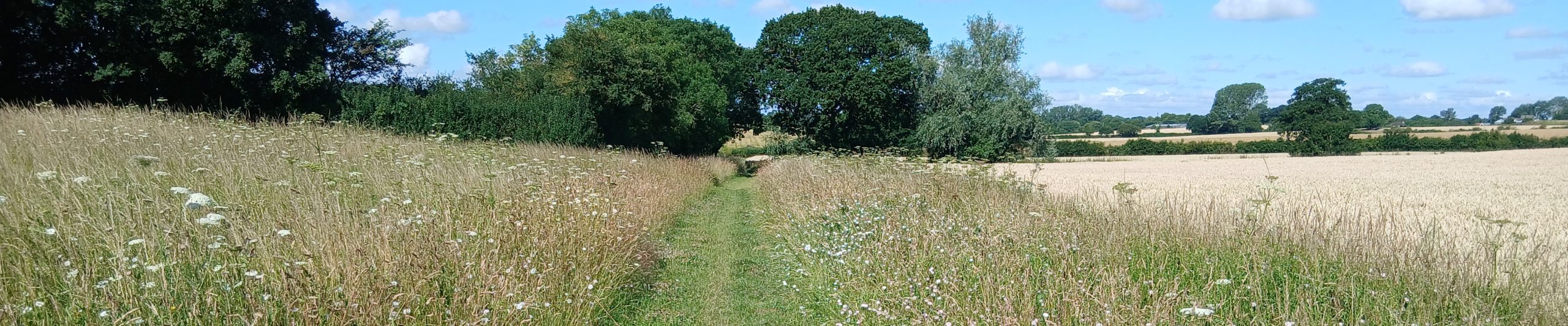 WTandW – Westerfield with Tuddenham and Witnesham